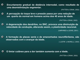 Encurtamento gradual da distância internodal, como resultado de
uma desmielinização segmentar.
(PATTEN e CRAIK, 2002)
A percepção do toque leve e pressão passa por uma redução de
um quarto do normal em homens acima dos 40 anos de idade.
(PATTEN e CRAIK, 2002)
O limiar cutâneo para a dor também aumenta com a idade.
(PATTEN e CRAIK, 2002)
A degeneração dos dendritos, no SNC, provoca uma diminuição da
velocidade de condução, alterando assim, a plasticidade neuronal.
(UMPHRED e LEWIS, 2001)
A formação de placas senis e de emaranhados neurofibrilares, são
observados com o avançar da idade.
( LUSTRI e MORELLI, 2004)
 