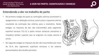 A Dor no Parto: significados e manejo | PPSX