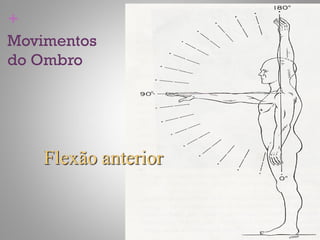 +
Movimentos
do Ombro
 