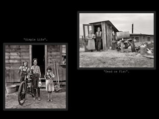 “Simple Life”.
“Dead ox Flat”.
 