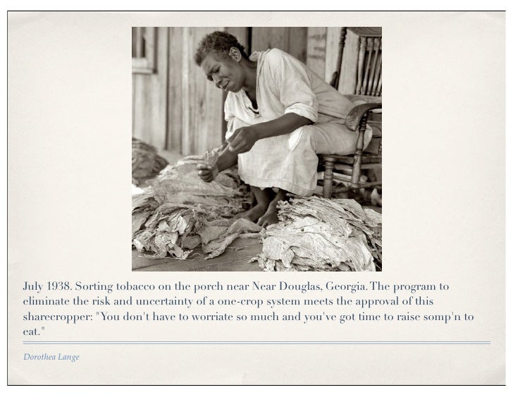 Migrant mother essay