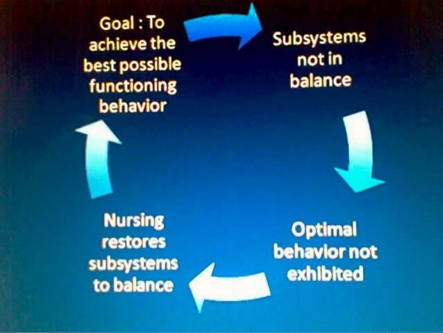 behavioral systems theory