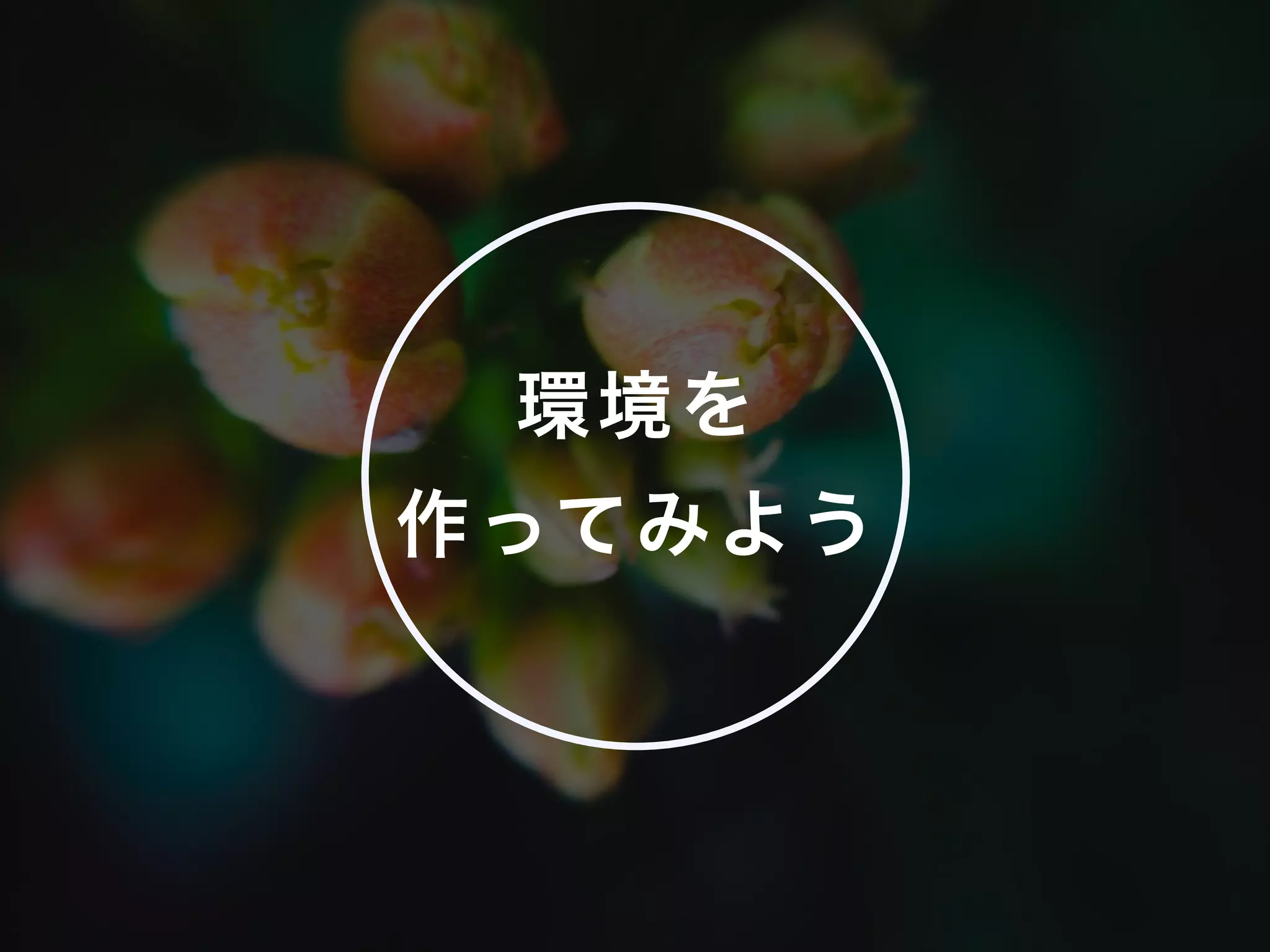 環境を
作ってみよう
 