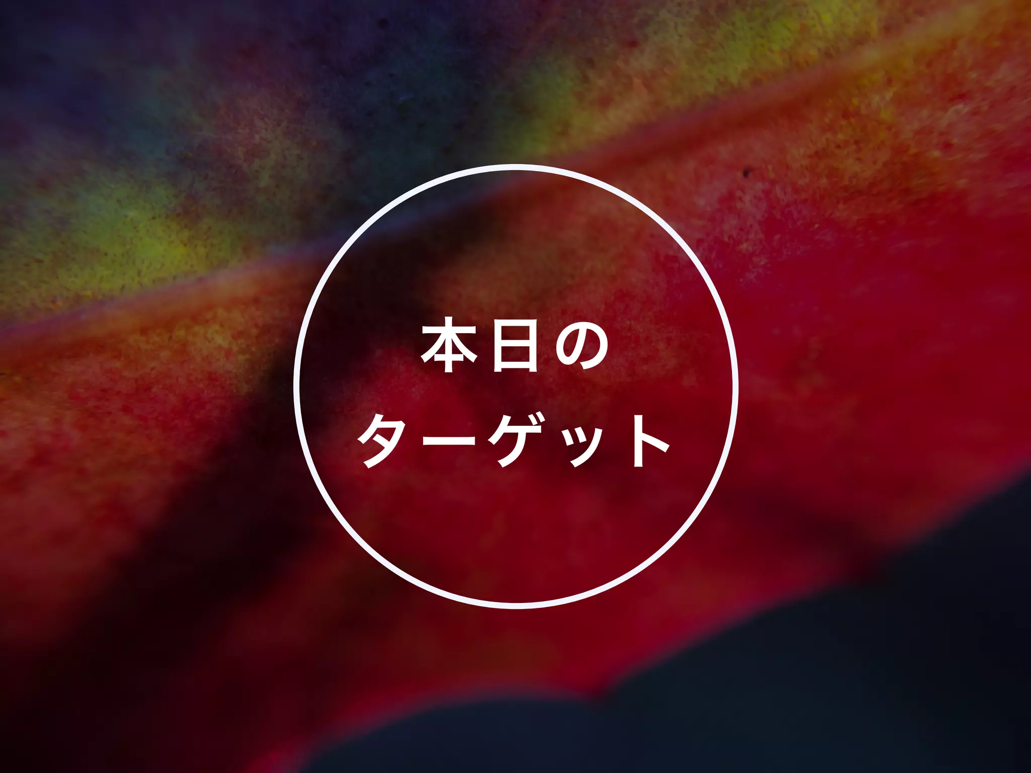 本日の
ターゲット
 