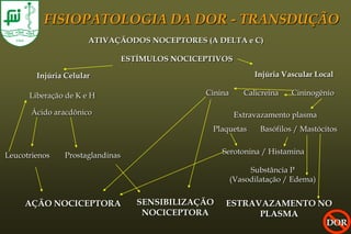 FISIOPATOLOGIA DA DOR - TRANSDUÇÃO
                      ATIVAÇÃODOS NOCEPTORES (A DELTA e C)

                                 ESTÍMULOS NOCICEPTIVOS

        Injúria Celular                                         Injúria Vascular Local

      Liberação de K e H                         Cinina      Calicreina   Cininogênio

       Ácido aracdônico                                    Extravazamento plasma
                                                   Plaquetas      Basófilos / Mastócitos


Leucotrienos   Prostaglandinas                       Serotonina / Histamina

                                                               Substância P
                                                          (Vasodilatação / Edema)


     AÇÃO NOCICEPTORA               SENSIBILIZAÇÃO    ESTRAVAZAMENTO NO
                                     NOCICEPTORA            PLASMA
                                                                      DOR
 