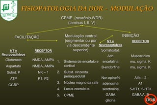 FISIOPATOLOGIA DA DOR - MODULAÇÃO
                                  CPME (neurônio WDR)
                                     (laminas I, II, V)


       FACILITAÇÃO                 Modulação central                     INIBIÇÃO
                                   (segmentar ou por           NT e          RECEPTOR
                                    via descendente       Neuropeptídeos
     NT e         RECEPTOR              superior)          Somatostat.
Neuropeptídeos
                                                               Ach           Muscarínico
  Glutamato      NMDA, AMPA 1.     Sistema de encéfalo e encefalina         mu, sigma, K
  Aspartato      NMDA, AMPA        cortical              B-endorfina        mu, sigma, K
   Subst. P        NK – 1    2.    Subst. cinzenta
                                   periaquedutal         Nor-epinefri          Alfa – 2
     ATP           P1, P2
                             3.    Núcleo magno da rafe     adenosina            A1
    CGRP
                             4.    Locus coeruleus          serotonina      5-HT1, 5-HT3
                             5.    CPME                       GABA           GABA A, B
                                                              glicina                 DOR
 