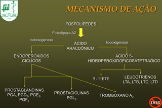 MECANISMO DE AÇÃO
                               FOSFOLÍPEDES

                       Fosfolipase A2
          ciclooxigenase
                                   ÁCIDO          lipooxigenase
                                ARACDÔNICO
   ENDOPERÓXIDOS                                  ÁCIDO 5-
      CICLÍCOS                          HIDROPEROXIDOEICOSATETRAÓICO



                                            5 - HETE        LEUCOTRIENOS
                                                           LTA, LTB, LTC, LTD

PROSTAGLANDINAS
 PGA, PGD2, PGE2,          PROSTACICLINAS
                                               TROMBOXANO A2
       PGF2                     PGL2
                                                                         DOR
 
