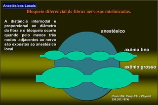 Anestésicos Locais
            Bloqueio diferencial de fibras nervosas mielinizadas.
                                                    mielinizadas.
A distância internodal é
proporcional ao diâmetro
da fibra e o bloqueio ocorre                     anestésico
quando pelo menos três
nodos adjacentes ao nervo
são expostos ao anestésico
local                                                          axônio fino


                                                               axônio grosso




                                                      (Franz DN, Perry RS. J Physiol
                                                      236:207,1974)
 