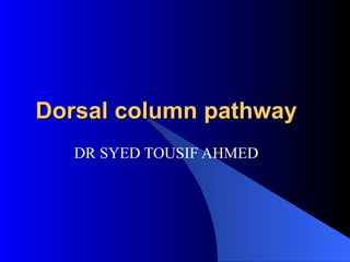 Dorsal column pathway DR SYED TOUSIF AHMED 