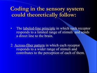 Dorsal column pathway | PPT