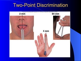 Two-Point Discrimination 