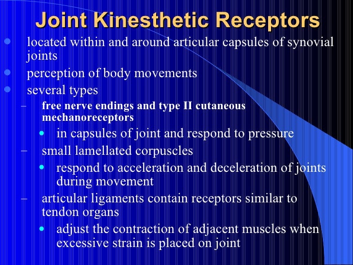 Proprioception image