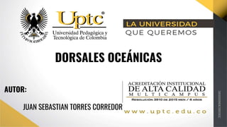 DORSALES OCEÁNICAS
AUTOR:
JUAN SEBASTIAN TORRES CORREDOR
 