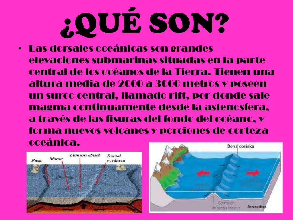 Dorsales oceánicas Dorsales oceánicas