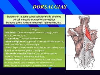 DORSALGIAS
Dolores en la zona correspondiente a la columna
dorsal, musculatura periférica y tejidos
blandos que la rodean (tendones, ligamentos, etc.)
Dolores en la zona correspondiente a la columna
dorsal, musculatura periférica y tejidos
blandos que la rodean (tendones, ligamentos, etc.)
Etiología:
•Mecánicas: Defectos de posición en el trabajo, en el
estudio, cosiendo, etc.
•Traumáticas: Traumatismo directo.
•Reumatológicas: Osteoporosis o artrosis vertebral dorsal,
Síndrome Miofascial, Fibromialgia.
•Stress: Especialmente en la musculatura del cuello y zona
dorsal, entre los omóplatos o escápulas.
•Hipotrofia muscular dorsal: Como en el embarazo,
anorexia nerviosa, individuos asténicos.
•Sobreesfuerzo: Produciéndose contracturas musculares
en musculatura dorsal y trapecios, así como en la
musculatura interescapular y paravertebral dorsal.
Etiología:
•Mecánicas: Defectos de posición en el trabajo, en el
estudio, cosiendo, etc.
•Traumáticas: Traumatismo directo.
•Reumatológicas: Osteoporosis o artrosis vertebral dorsal,
Síndrome Miofascial, Fibromialgia.
•Stress: Especialmente en la musculatura del cuello y zona
dorsal, entre los omóplatos o escápulas.
•Hipotrofia muscular dorsal: Como en el embarazo,
anorexia nerviosa, individuos asténicos.
•Sobreesfuerzo: Produciéndose contracturas musculares
en musculatura dorsal y trapecios, así como en la
musculatura interescapular y paravertebral dorsal.
 