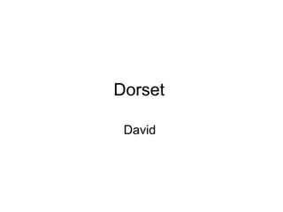 Dorset  David  