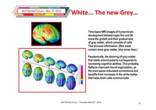 NLP Dorset Forum – May 31, 2012
                                            White... The new Grey...

                                                             Time-lapse MRI images of human-brain
                                                             development between ages five and 20
                                                             show the growth and then gradual loss
                                                             of gray matter, which consists of cells
                                                             That process information. (Red areas
                                                             contain more gray matter, blue areas less.)

                                                             Paradoxically, the thinning of gray matter
                                                             that starts around puberty corresponds to
                                                             increasing cognitive abilities. This probably
                                                             Reflects improved neural organization, as
                                                             the brain pares redundant connections and
                                                             benefits from increases in the white matter
                                                             that helps brain cells communicate.




                                  NLP Dorset Forum - Thursday May 31st 2012                                11
 