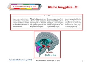 NLP Dorset Forum – May 31, 2012
                                                            Blame Amygdala...!!!




From: Scientific American April 2012    NLP Dorset Forum - Thursday May 31st 2012   6
 