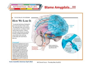 NLP Dorset Forum – May 31, 2012
                                                    Blame Amygdala...!!!




From: Scientific American April 2012    NLP Dorset Forum - Thursday May 31st2012
 
