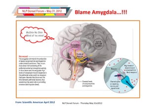 NLP Dorset Forum – May 31, 2012
                                                    Blame Amygdala...!!!


         MuShin No Shin
         Mind of ‘no mind’




From: Scientific American April 2012    NLP Dorset Forum - Thursday May 31st2012
 