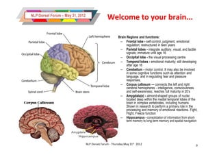 NLP Dorset Forum – May 31, 2012
                                                 Welcome to your brain...

                                                    •    Brain Regions and functions:
                                                          – Frontal lobe - self-control, judgment, emotional
                                                               regulation; restructured in teen years
                                                          – Parietal lobes - integrate auditory, visual, and tactile
                                                               signals; immature until age 16
                                                          – Occipital lobe - the visual processing centre
                                                          – Temporal lobes - emotional maturity; still developing
                                                               after age 16
                                                          – Cerebellum - motor control. It may also be involved
                                                               in some cognitive functions such as attention and
                                                               language, and in regulating fear and pleasure
                                                               responses,
                                                          – Corpus callosum — connects the left and right
                                                               cerebral hemispheres - intelligence, consciousness
                                                               and self-awareness; reaches full maturity in 20’s
                                                          – Amygdala(e) - almond-shaped groups of nuclei
                                                               located deep within the medial temporal lobes of the
                                                               brain in complex vertebrates, including humans.
                                                               Shown in research to perform a primary role in the
                                                               processing and memory of emotional reactions. Fight,
                                                               Flight, Freeze function
                                                           –   Hippocampus - consolidation of information from short-
                                                               term memory to long-term memory and spatial navigation




                                  NLP Dorset Forum - Thursday May 31st 2012                                         9
 