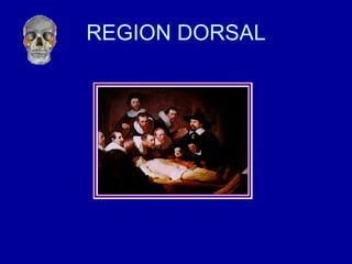 REGION DORSAL 