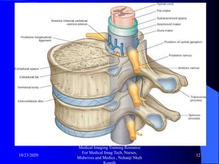 Dorso lumbar spine x-ray radiology training resource nchanji nkeh