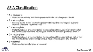 dorsolumbar injuries.pptx