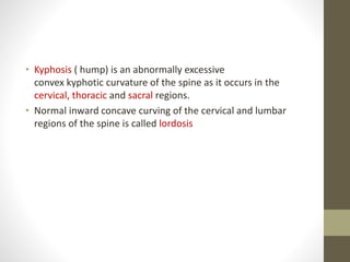 • Kyphosis ( hump) is an abnormally excessive
convex kyphotic curvature of the spine as it occurs in the
cervical, thoracic and sacral regions.
• Normal inward concave curving of the cervical and lumbar
regions of the spine is called lordosis
 