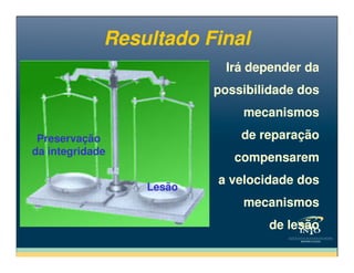 Preservação
Irá depender da
possibilidade dos
mecanismos
de reparação
Irá depender da
possibilidade dos
mecanismos
de reparação
Resultado FinalResultado Final
Preservação
da integridade
Lesão
de reparação
compensarem
a velocidade dos
mecanismos
de lesão
de reparação
compensarem
a velocidade dos
mecanismos
de lesão
 