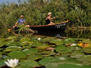 DANUBE DELTA – THE ROWING PARADISE