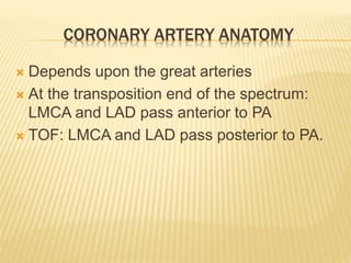 CORONARY ARTERY ANATOMY
 Depends upon the great arteries
 At the transposition end of the spectrum:
LMCA and LAD pass anterior to PA
 TOF: LMCA and LAD pass posterior to PA.
 