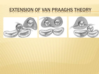 EXTENSION OF VAN PRAAGHS THEORY
 