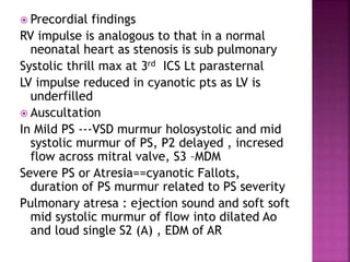  Precordial findings
RV impulse is analogous to that in a normal
neonatal heart as stenosis is sub pulmonary
Systolic thrill max at 3rd ICS Lt parasternal
LV impulse reduced in cyanotic pts as LV is
underfilled
 Auscultation
In Mild PS ---VSD murmur holosystolic and mid
systolic murmur of PS, P2 delayed , incresed
flow across mitral valve, S3 –MDM
Severe PS or Atresia==cyanotic Fallots,
duration of PS murmur related to PS severity
Pulmonary atresa : ejection sound and soft soft
mid systolic murmur of flow into dilated Ao
and loud single S2 (A) , EDM of AR
 