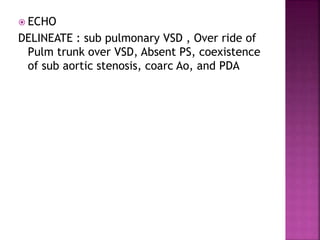  ECHO
DELINEATE : sub pulmonary VSD , Over ride of
Pulm trunk over VSD, Absent PS, coexistence
of sub aortic stenosis, coarc Ao, and PDA
 