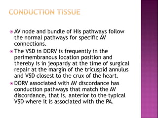  AV node and bundle of His pathways follow
the normal pathways for specific AV
connections.
 The VSD in DORV is frequently in the
perimembranous location position and
thereby is in jeopardy at the time of surgical
repair at the margin of the tricuspid annulus
and VSD closest to the crux of the heart.
 DORV associated with AV discordance has
conduction pathways that match the AV
discordance, that is, anterior to the typical
VSD where it is associated with the PA.
 