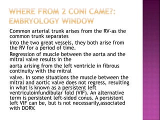 Common arterial trunk arises from the RV-as the
common trunk separates
into the two great vessels, they both arise from
the RV for a period of time.
Regression of muscle between the aorta and the
mitral valve results in the
aorta arising from the left ventricle in fibrous
continuity with the mitral
valve. In some situations the muscle between the
mitral and aortic valve does not regress, resulting
in what is known as a persistent left
ventriculoinfundibular fold (VIF). An alternative
term is persistent left-sided conus. A persistent
left VIF can be, but is not necessarily,associated
with DORV.
 