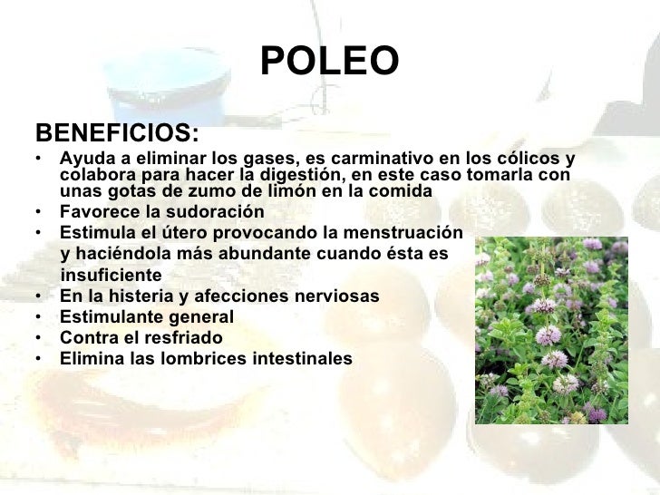 poleo