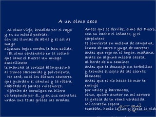 A un olmo seco
  Al olmo viejo, hendido por el rayo    Antes que te derribe, olmo del Duero,
y en su mitad podrido,                  con su hacha el leñador, y el
con las lluvias de abril y el sol de    carpintero
mayo                                    te convierta en melena de campana,
algunas hojas verdes le han salido.     lanza de carro o yugo de carreta;
  ¡El olmo centenario en la colina      antes que rojo en el hogar, mañana,
que lame el Duero! Un musgo             ardas en alguna mísera caseta,
amarillento                             al borde de un camino;
le mancha la corteza blanquecina        antes que te descuaje un torbellino
al tronco carcomido y polvoriento.      y tronche el soplo de las sierras
  No será, cual los álamos cantores     blancas;
que guardan el camino y la ribera,      antes que el río hasta la mar te
habitado de pardos ruiseñores.          empuje
  Ejército de hormigas en hilera        por valles y barrancas, 
va trepando por él, y en sus entrañas   olmo, quiero anotar en mi cartera
urden sus telas grises las arañas.      la gracia de tu rama verdecida.
                                        Mi corazón espera
                                        también, hacia la luz y hacia la vida
 