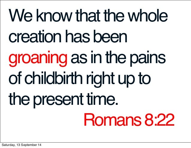 the drama of scripture book report What spiritual lessons can we learn from this book the book of esther tells a compelling story, dramatic and exciting, with clearly defined heroes and villains. the drama of scripture book report What spiritual lessons can we learn from this book the book of esther tells a compelling story, dramatic and exciting, with clearly defined heroes and villains.