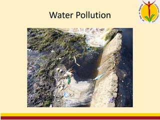 Water Pollution
 