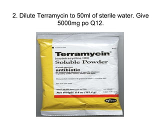2. Dilute Terramycin to 50ml of sterile water. Give
                5000mg po Q12.
 