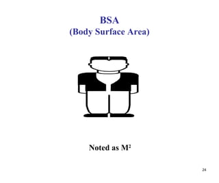 24
BSA
(Body Surface Area)
Noted as M2
 