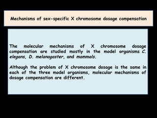 Dosage Compensation in Drosophila, Human and C.elegans | PPTX