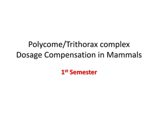Polycome/Trithorax complex
Dosage Compensation in Mammals
1st Semester
 
