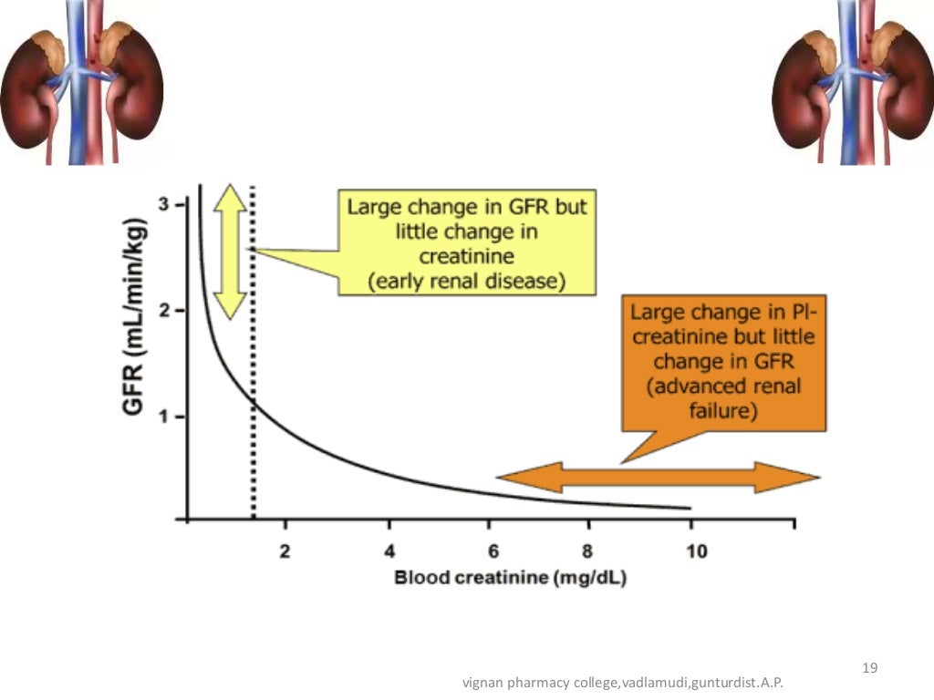Dose Adjustment in renal and hepatic failure