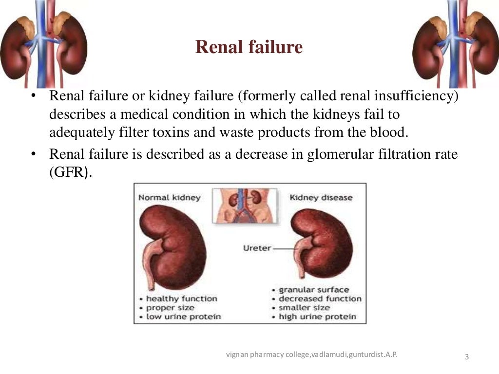 Dose Adjustment in renal and hepatic failure