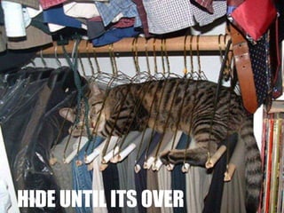 Dos And Donts When Facing A Recession ݺߣ Show