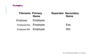 Examples:
Filename   Primary 
Name
Separator Secondary 
Name
Employee Employee
Employee.Exe Employee .Exe
Employee.Dbf Employee .Dbf
BY LECTURER SURAJ PANDEY CCT COLLEGE
 