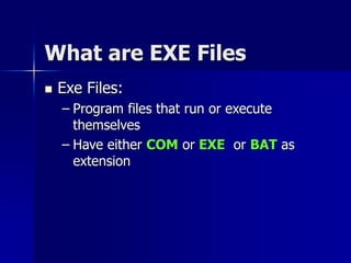 What are EXE Files
 Exe Files:
– Program files that run or execute
themselves
– Have either COM or EXE or BAT as
extension
 